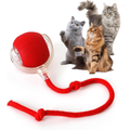 PELOTA INTERACTIVA RECARGABLE