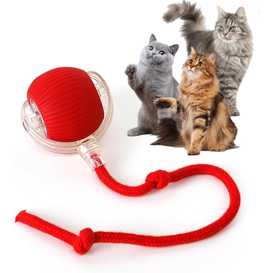 PELOTA INTERACTIVA RECARGABLE